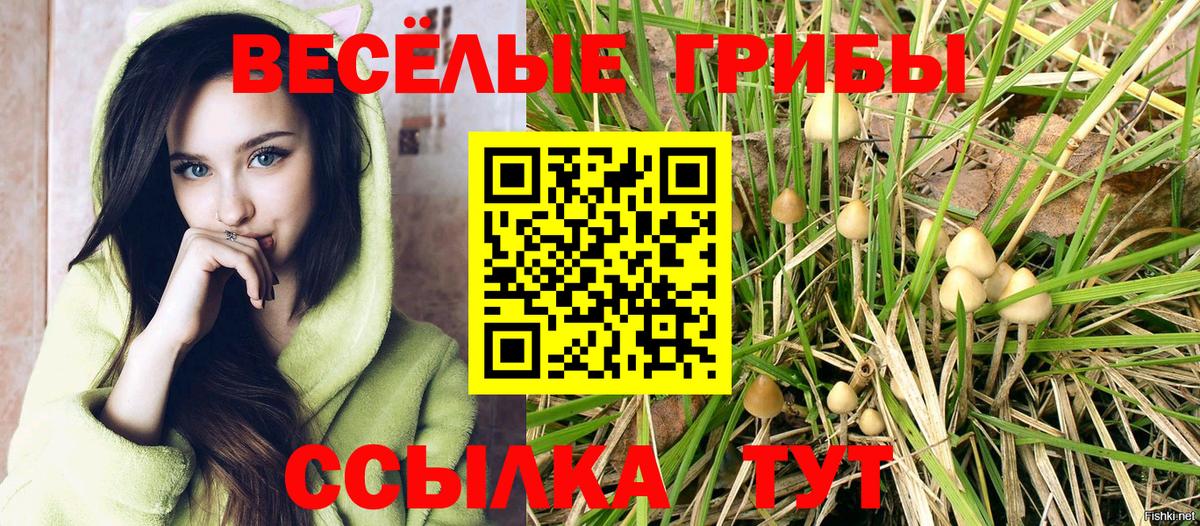 Псилоцибиновые грибы MAGIC MUSHROOMS Кумертау